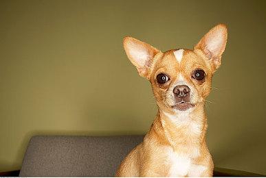 CDPR旗下游戏付费DLC很成功 为游戏行业树立了高标准